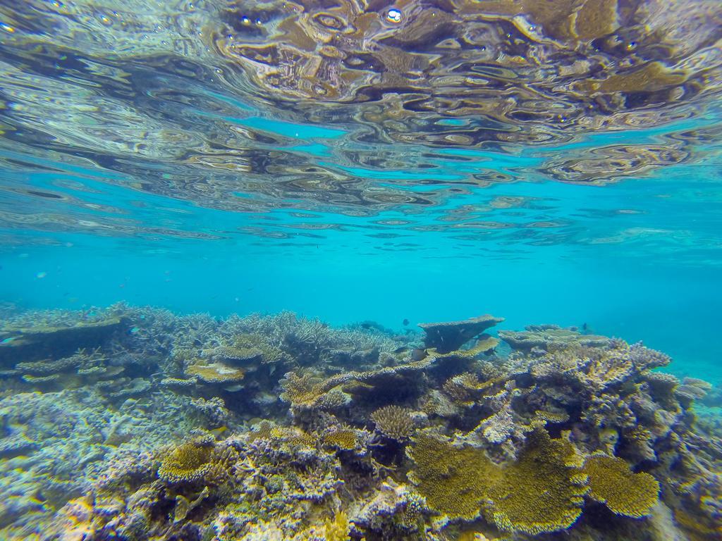 Lily Rest Maldives Ξενοδοχείο Maafushi Εξωτερικό φωτογραφία