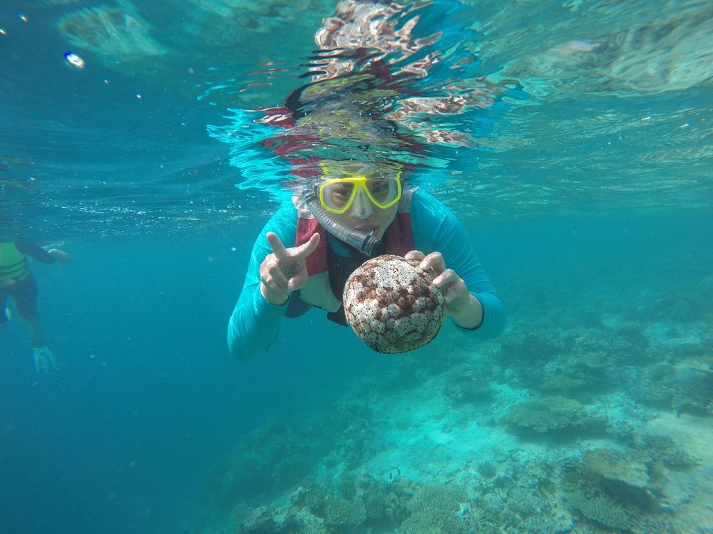 Lily Rest Maldives Ξενοδοχείο Maafushi Εξωτερικό φωτογραφία