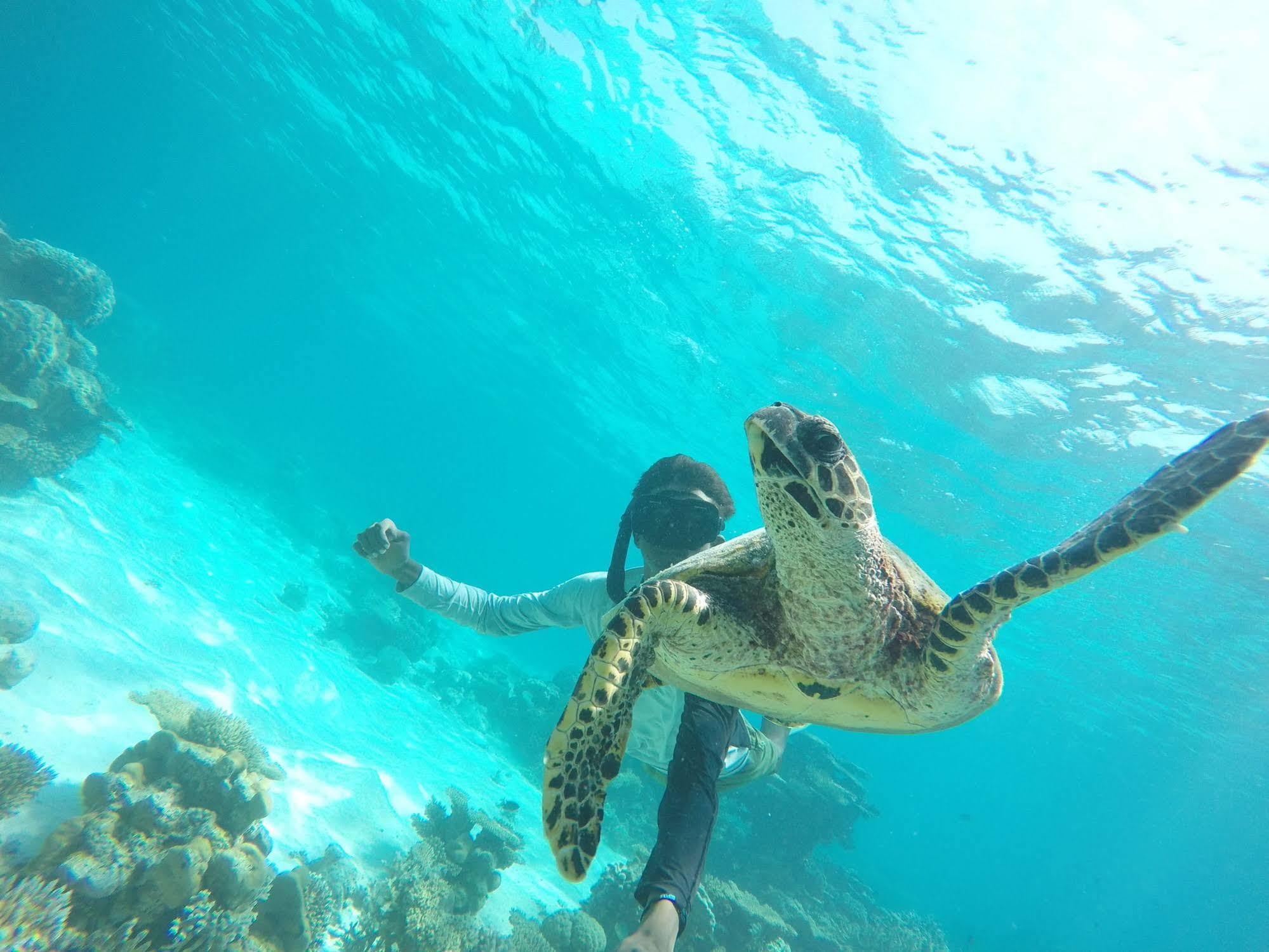 Lily Rest Maldives Ξενοδοχείο Maafushi Εξωτερικό φωτογραφία